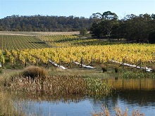 Richmond and Wine Tour ( Friday) Tasmania Australia